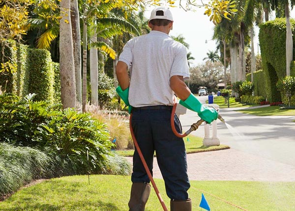 About Springfield SC Pest Control Pros